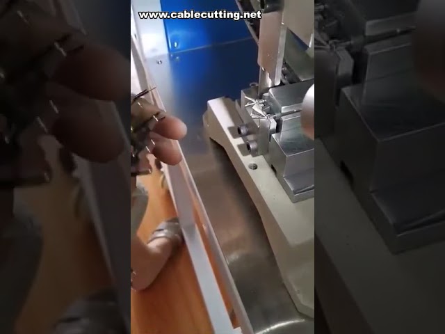 Polautomatický krimpovací stroj pro 2kolíkové zástrčky (EU) – efektivní výroba konektorů