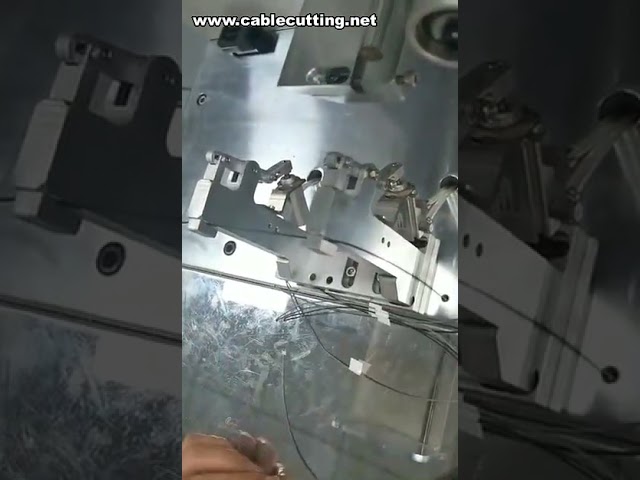 Automatický stroj na popisování kabelů a drátů | Samolepky, visačky a skládané etikety